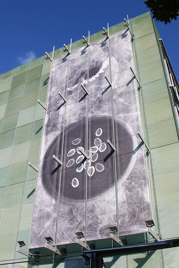 Isabella Stewart Gardner Banner